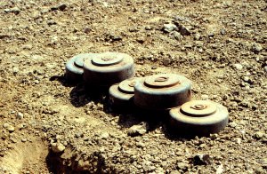 landmines in the field